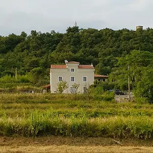 Apartman Flora, Sečovlje